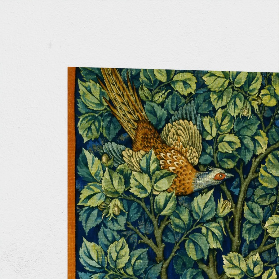 Cock Pheasant — unframed, corner detail