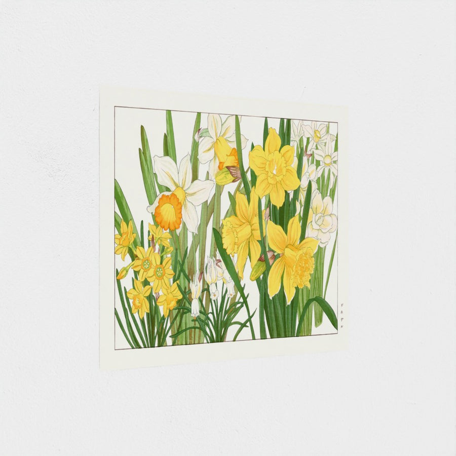 Daffodil, from Seiyo Soka Zufu — unframed, at an angle