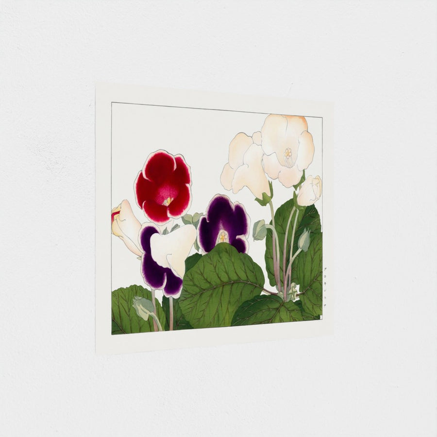 Gloxinia flower, from Seiyo Soka Zufu — unframed, at an angle