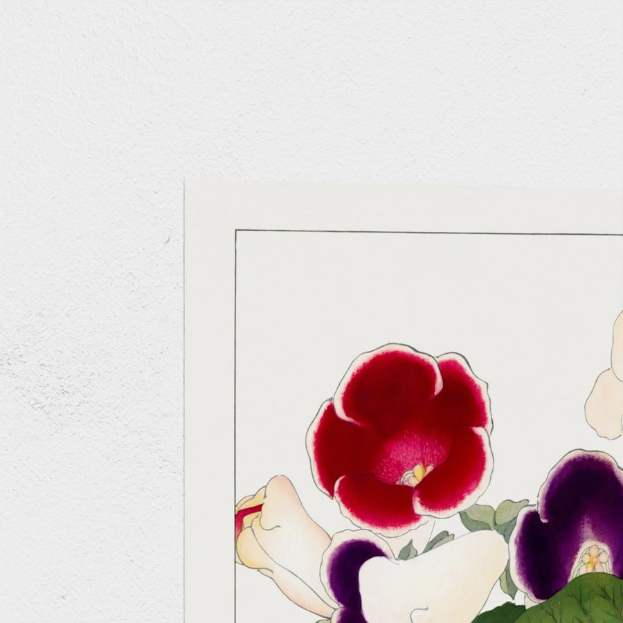 Gloxinia flower, from Seiyo Soka Zufu — unframed, corner detail