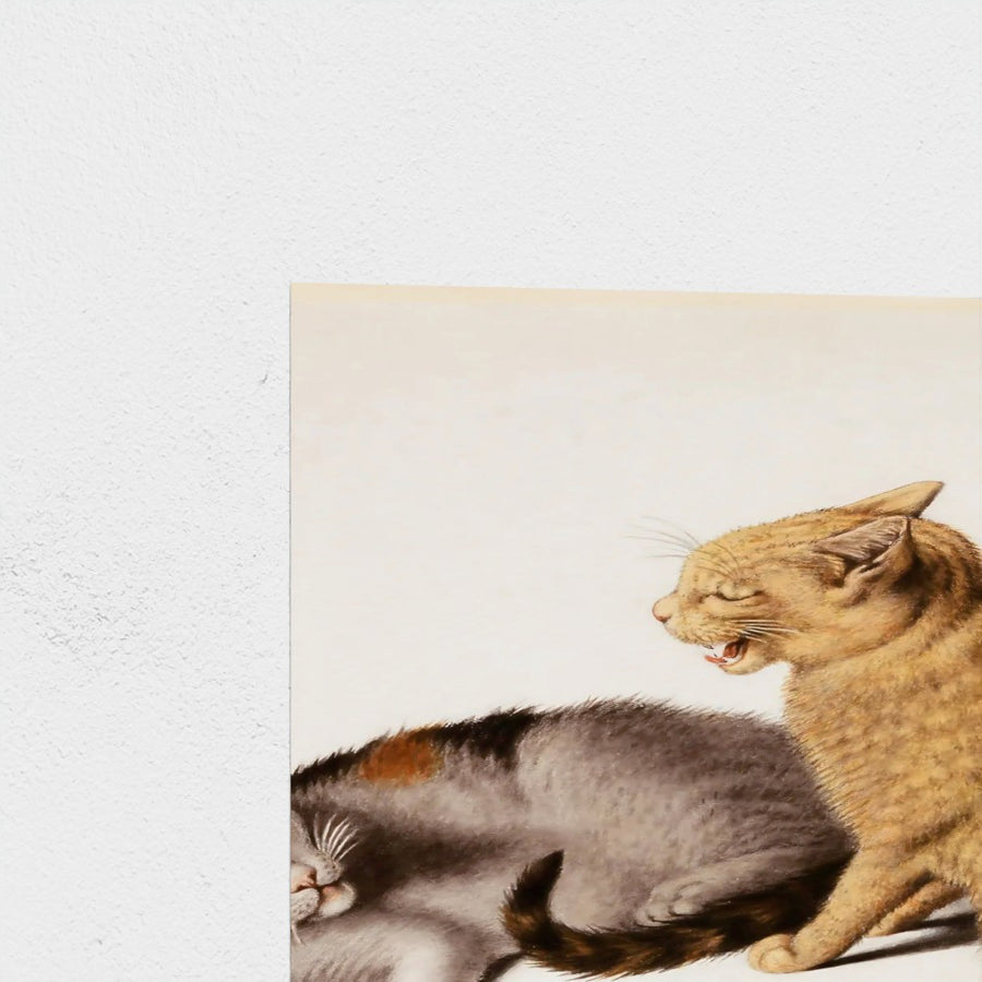 Two Young Cats in Conflict — unframed, corner detail