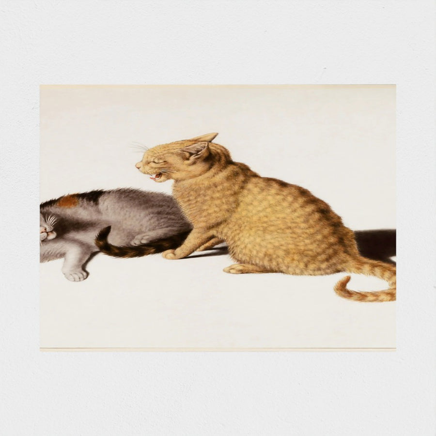 Two Young Cats in Conflict — unframed, front