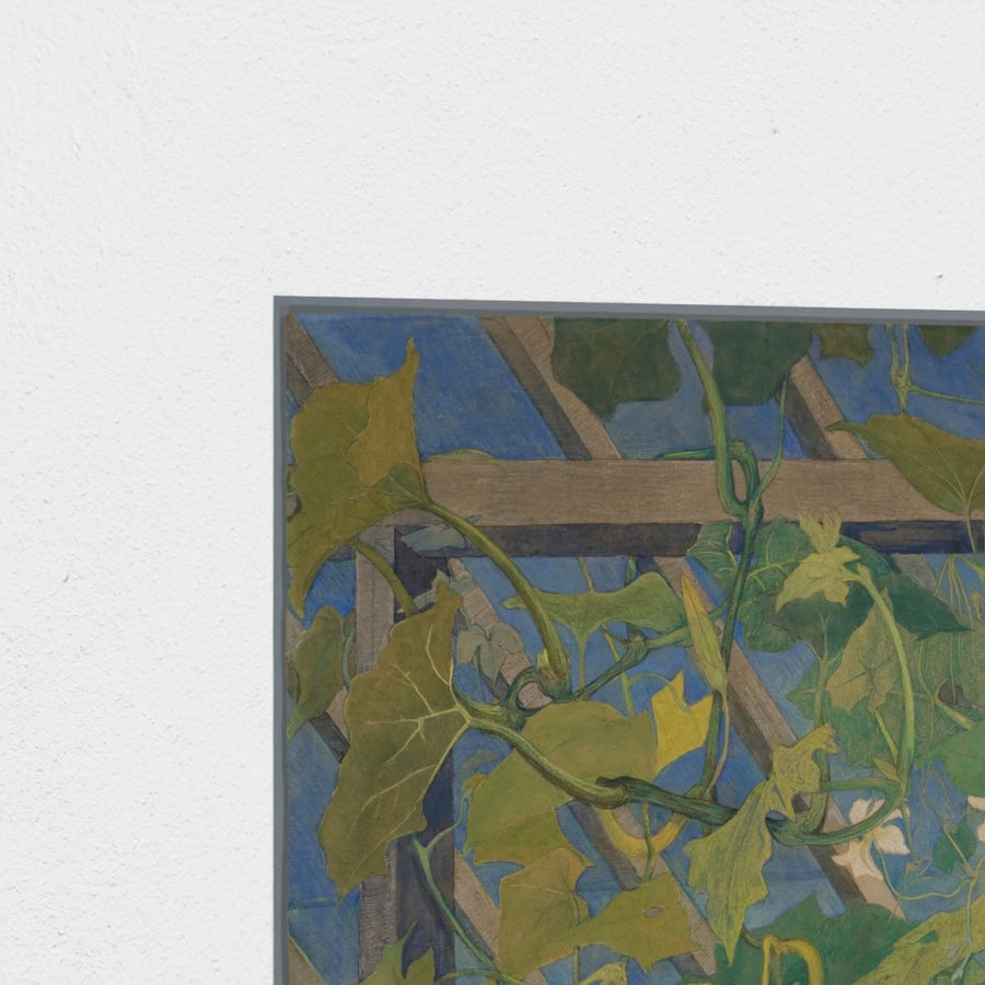 Broeikas met sierkalebassen — unframed, corner detail