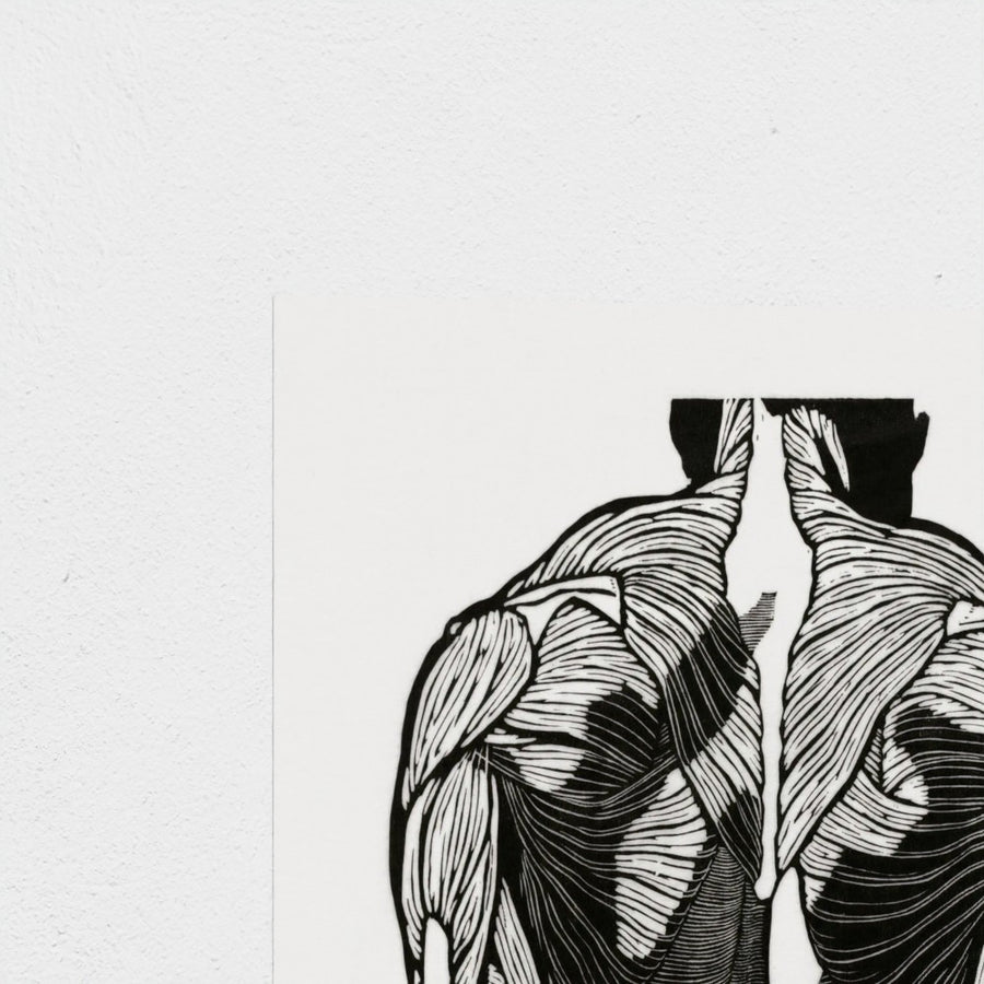 Anatomical study of a man’s back muscles — unframed, corner detail