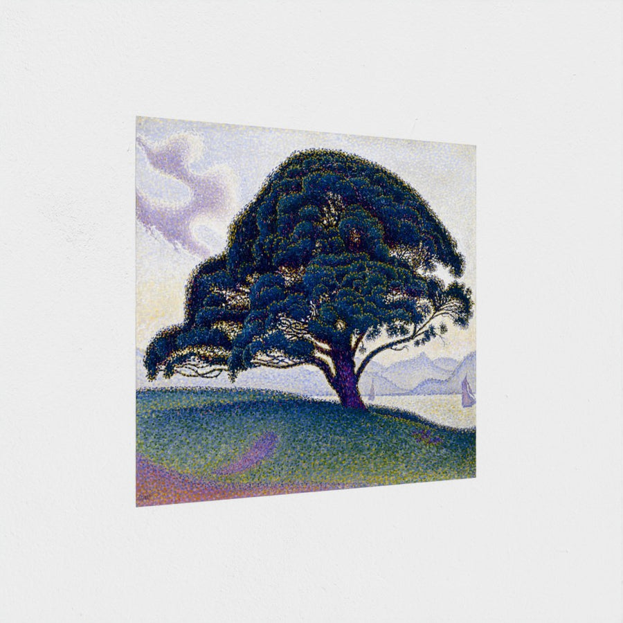 The Bonaventure Pine — unframed, at an angle