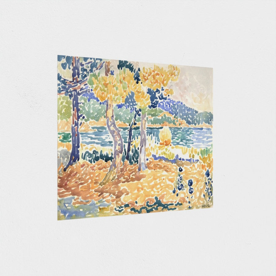 Pines on the Coastline — unframed, at an angle