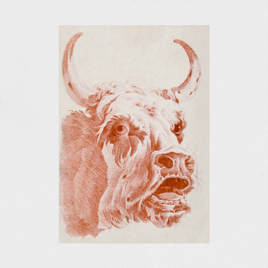 Head of a Cow — unframed, front