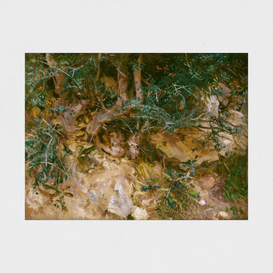 Valdemosa, Majorca: Thistles and Herbage on a Hillside — unframed, front