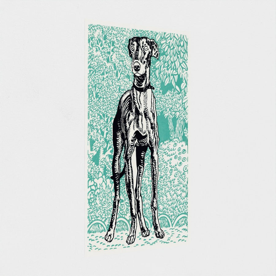 Greyhound — unframed, at an angle