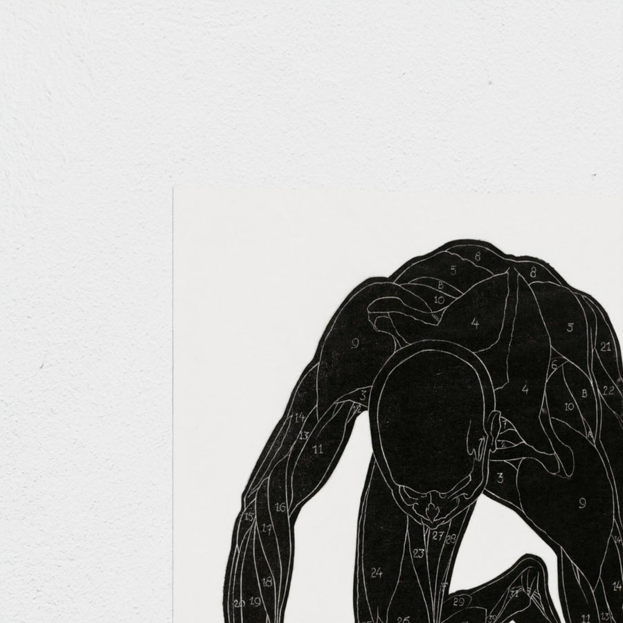 Anatomical study of a man’s neck, arm and leg muscles — unframed, corner detail