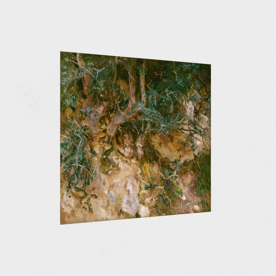 Valdemosa, Majorca: Thistles and Herbage on a Hillside — unframed, at an angle