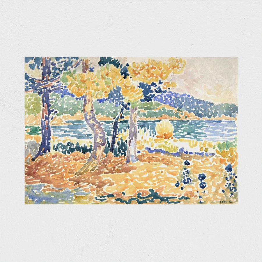 Pines on the Coastline — unframed, front