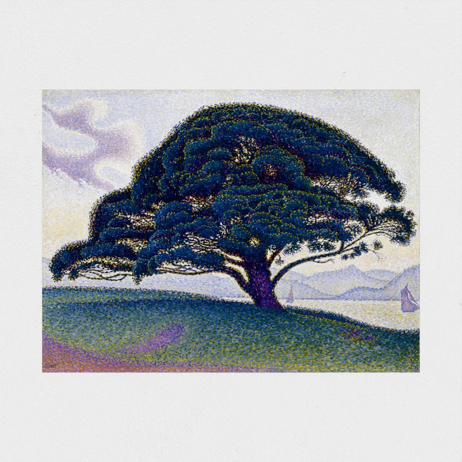 The Bonaventure Pine — unframed, front