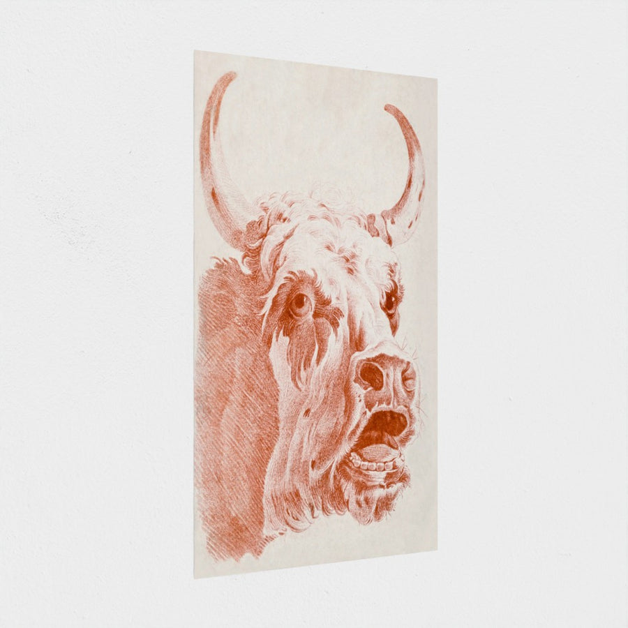 Head of a Cow — unframed, at an angle