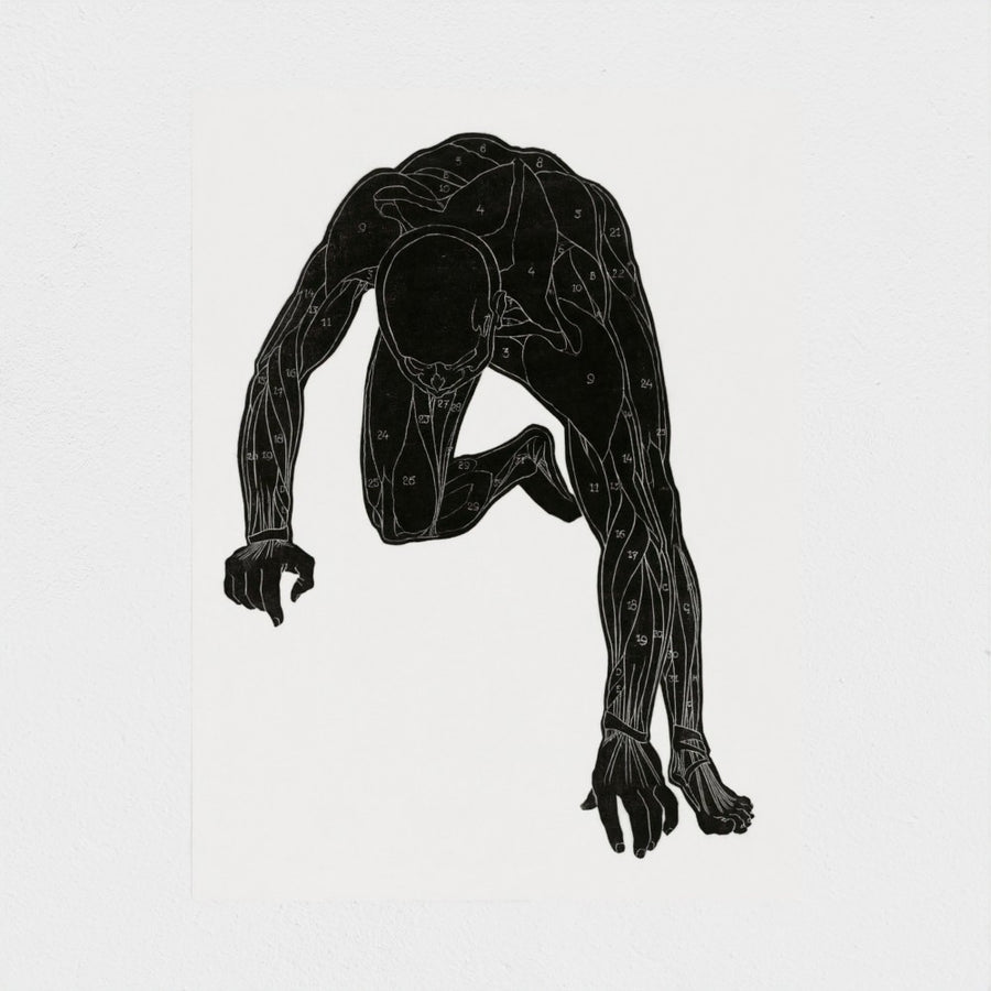 Anatomical study of a man’s neck, arm and leg muscles — unframed, front