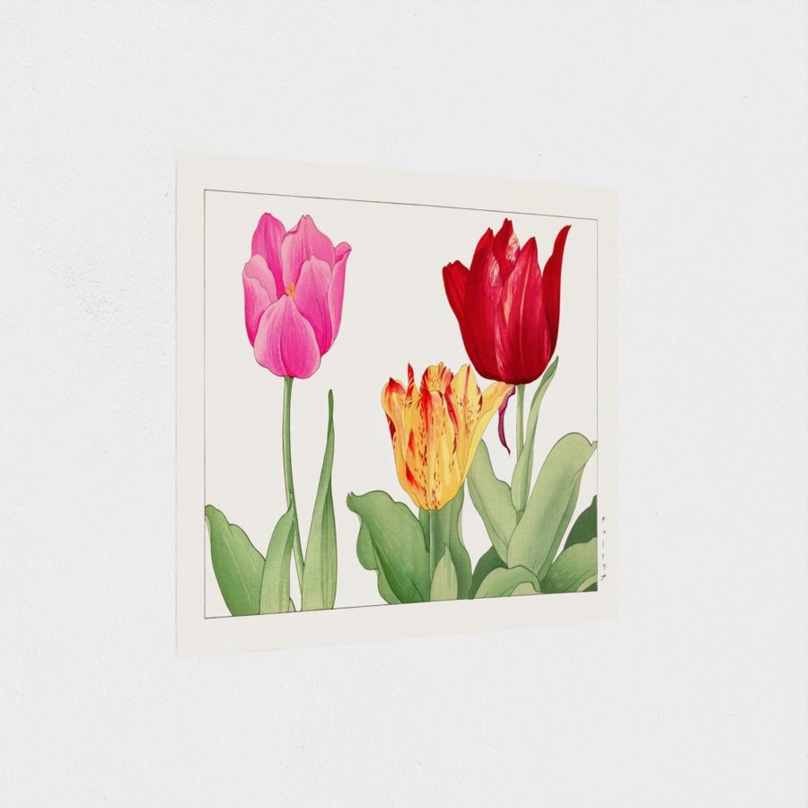 Tulip (red), from Seiyo Soka Zufu — unframed, at an angle