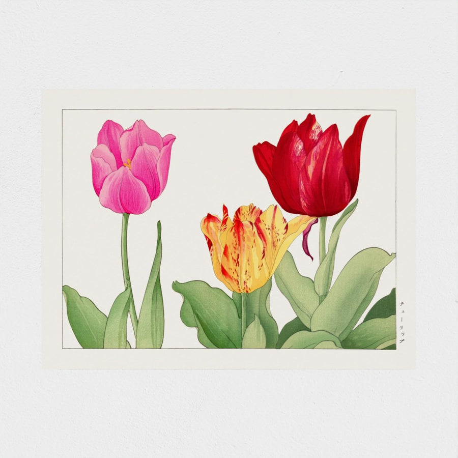 Tulip (red), from Seiyo Soka Zufu — unframed, front